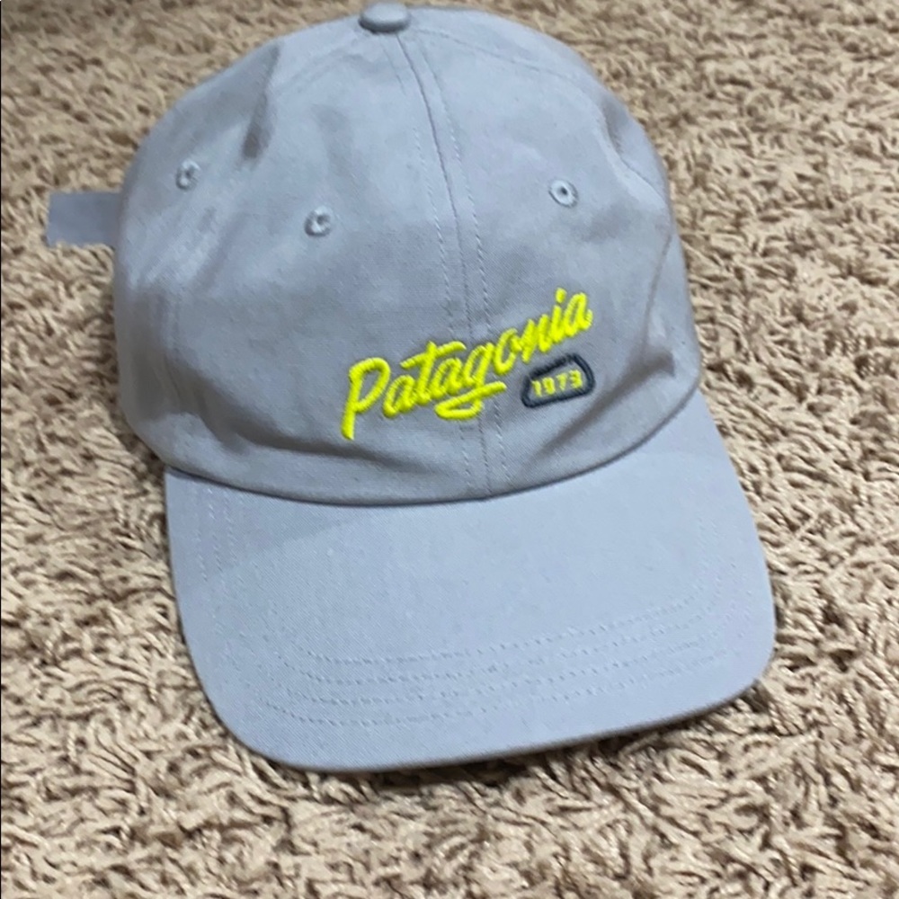 Patagonia hat